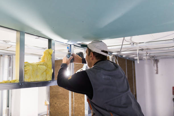 Best Cellulose Insulation in Parshall, ND