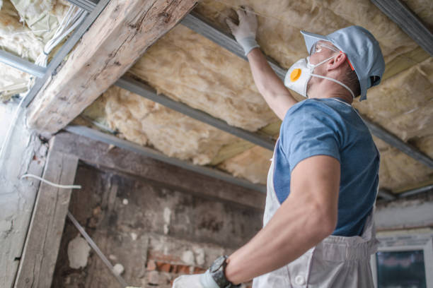 Best Residential Insulation in Parshall, ND