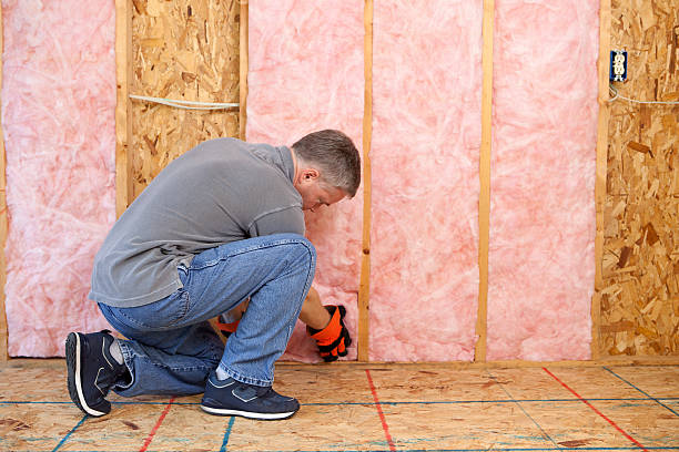 Best Insulation Maintenance and Repair in Parshall, ND